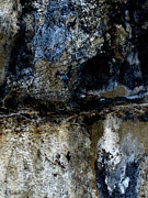 Poster / Fine Art Print